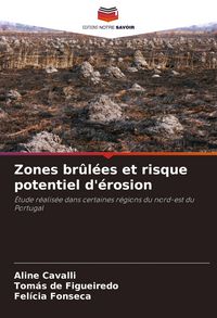 Produktbild: Zones br&ucirc;l&eacute;es et risque potentiel d'&eacute;rosion