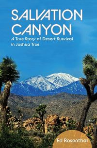 Produktbild: Salvation Canyon