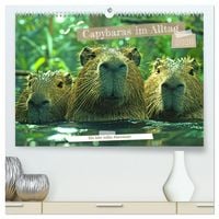 Produktbild: Capybaras im Alltag - Ein Jahr voller Abenteuer (hochwertiger Premium Wandkalender 2026 DIN A2 quer), Kunstdruck in Hochglanz