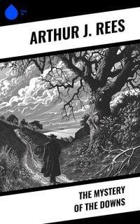 Produktbild: The Mystery of the Downs