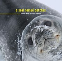 Produktbild: Seal Named Patches