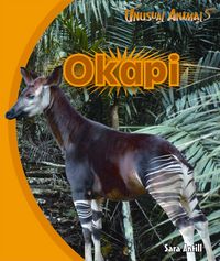 Produktbild: Okapi
