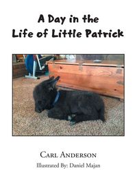 Produktbild: A Day in the Life of Little Patrick