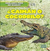 Produktbild: &iquest;Caim&aacute;n O Cocodrilo? (Alligator or Crocodile?)