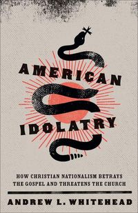 Produktbild: American Idolatry