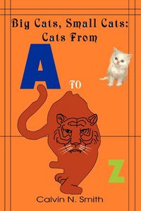 Produktbild: Big Cats, Small Cats
