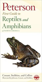 Produktbild: Conant, R: Reptiles and Amphibians