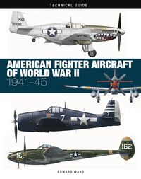 Produktbild: American Fighter Aircraft of World War II