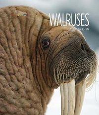 Produktbild: Walruses
