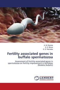Produktbild: Fertility associated genes in buffalo spermatozoa