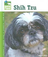 Produktbild: Shih Tzu