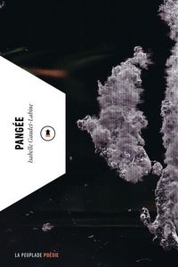 Produktbild: Pangee
