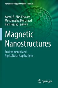 Produktbild: Magnetic Nanostructures