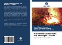 Produktbild: Waldbrandkatastrophe von Pedr&oacute;g&atilde;o Grande