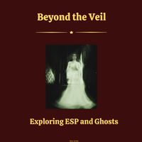 Produktbild: Beyond the Veil