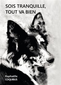 Produktbild: Sois tranquille, tout va bien