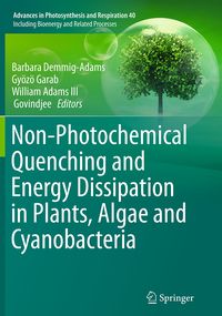 Produktbild: Non-Photochemical Quenching and Energy Dissipation in Plants, Algae and Cyanobacteria
