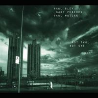 Produktbild: Bley, P: Not Two,Not One