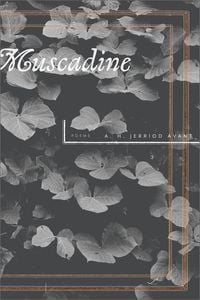 Produktbild: Muscadine