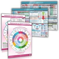 Produktbild: [4er Set] Das moderne Heilpraktiker-Poster-Set mit ICD-10 (F) & Bed&uuml;rfnis- & Gef&uuml;hlsfinder