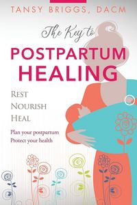 Produktbild: The Key to Postpartum Healing