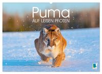 Produktbild: Puma: Auf leisen Pfoten (Wandkalender 2026 DIN A2 quer), CALVENDO Monatskalender