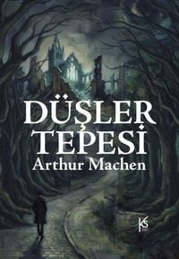 Produktbild: D&uuml;sler Tepesi