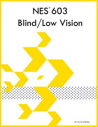 Produktbild: NES 603 Blind/Low Vision