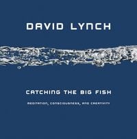 Produktbild: Catching the Big Fish