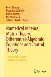 Produktbild: Numerical Algebra, Matrix Theory, Differential-Algebraic Equations and Control Theory