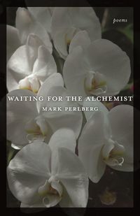 Produktbild: Waiting for the Alchemist