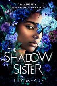 Bild vom Artikel The Shadow Sister vom Autor Lily Meade