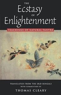 Bild vom Artikel The Ecstasy of Enlightenment vom Autor Thomas Cleary