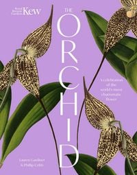 Produktbild: The Orchid