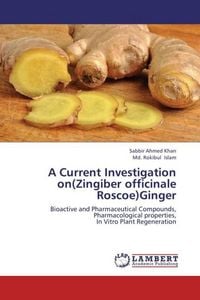 Produktbild: Khan, S: Current Investigation on(Zingiber officinale Roscoe