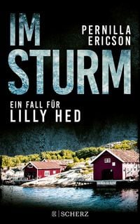 Produktbild: Im Sturm