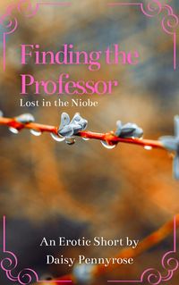 Produktbild: Finding the Professor While Lost in Her Ship
