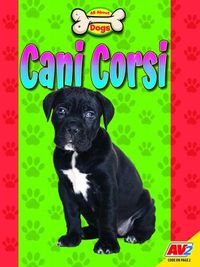 Produktbild: Cani Corsi
