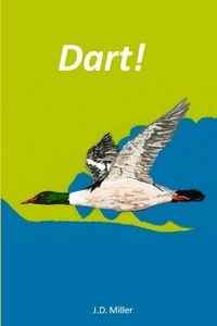 Produktbild: Dart!