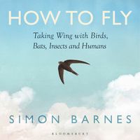 Produktbild: How to Fly