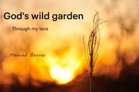 Produktbild: God's wild garden