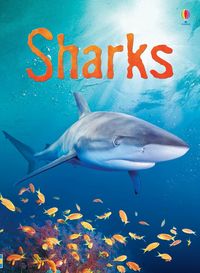 Produktbild: Sharks