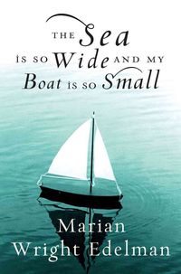 Produktbild: The Sea Is So Wide and My Boat Is So Small: Charting a Course for the Next Generation