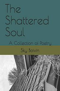 Produktbild: The Shattered Soul