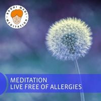 Produktbild: Meditation Live Free of Allergies