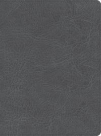Produktbild: CSB He Reads Truth Bible, Smoke Leathertouch, Indexed