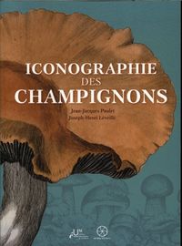 Produktbild: Iconographie des champignons