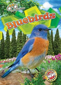 Produktbild: Bluebirds