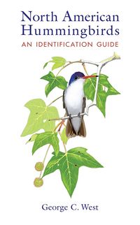 Produktbild: North American Hummingbirds