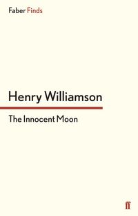 Produktbild: The Innocent Moon